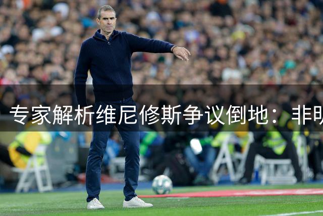 专家解析维尼修斯争议倒地：非明显假摔但接触过轻